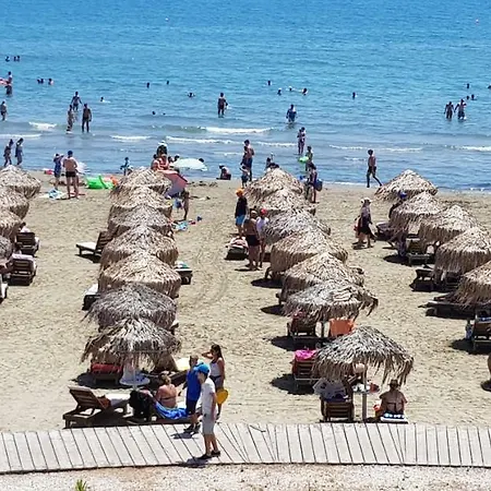 Haig's Dream Flat On The * Larnaca