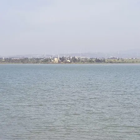 Haig's Dream Flat On The Larnaca