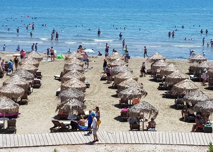 Haig's Dream Flat On The * Larnaca