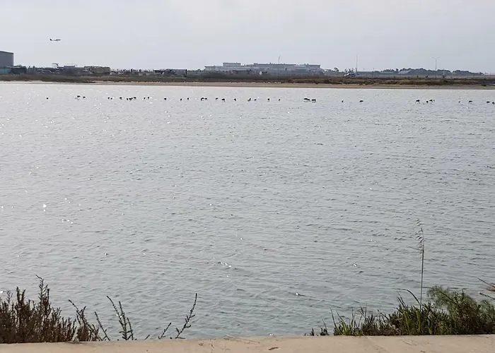 Haig's Dream Flat On The Appartamento Larnaca