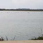 Haig's Dream Flat On The Daire Larnaca