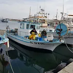 Haig's Dream Flat On The