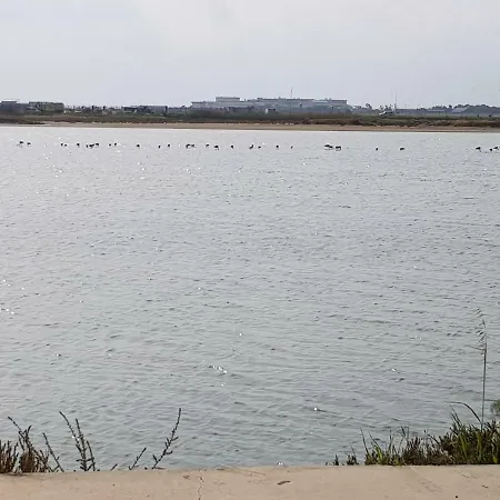 Haig's Dream Flat On The 公寓 拉纳卡