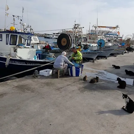 Haig's Dream Flat On The Apartman Lárnaka