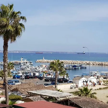 Haig's Dream Flat On The 公寓 *