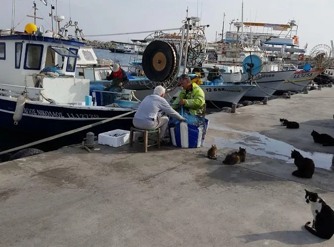 Haig's Dream Flat On The Апартаменты Ларнака