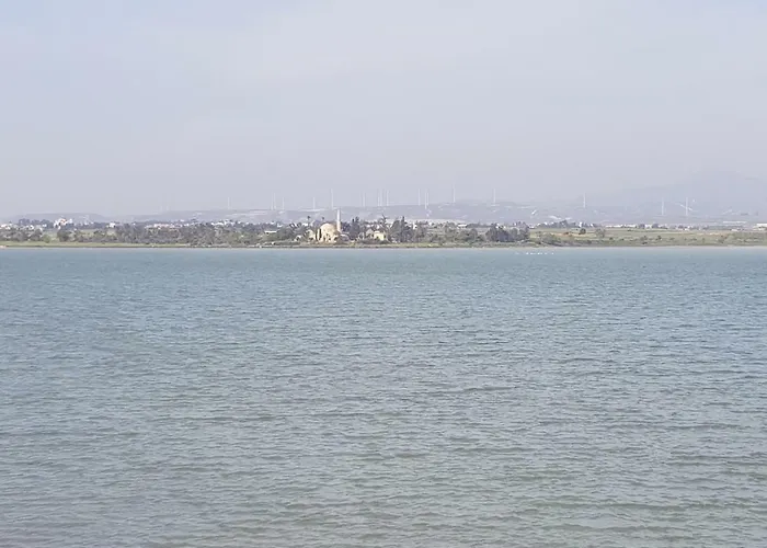 Haig's Dream Flat On The Lárnaca